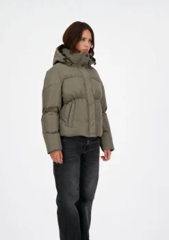 Jassen><noscript><img width=