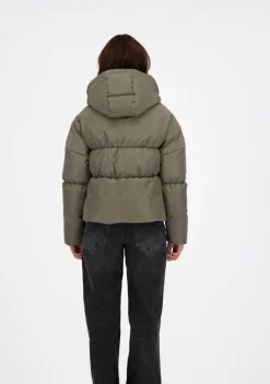 Jassen><noscript><img width=