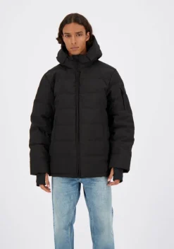 Jassen><noscript><img width=