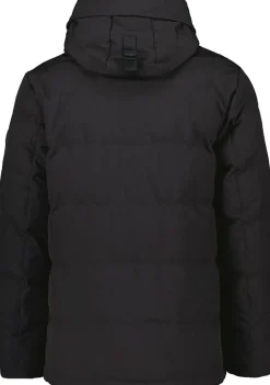 Jassen><noscript><img width=