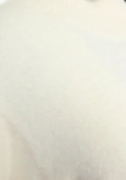 Truien><noscript><img width=