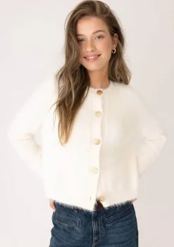 Vesten><noscript><img width=