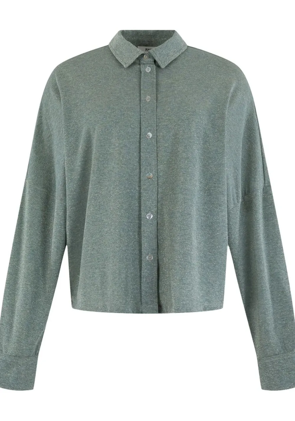 Blouses>ANNA VAN TOOR BLOUSE Groen