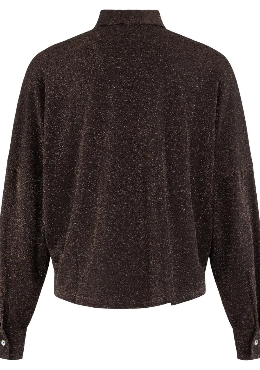 Blouses>ANNA VAN TOOR BLOUSE Bruin