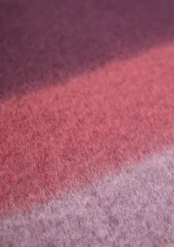 Accessoires><noscript><img width=