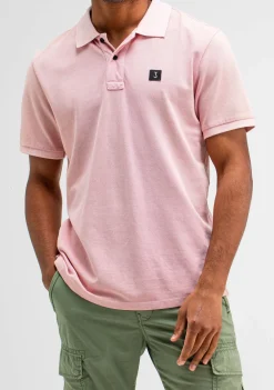 Polo's><noscript><img width=