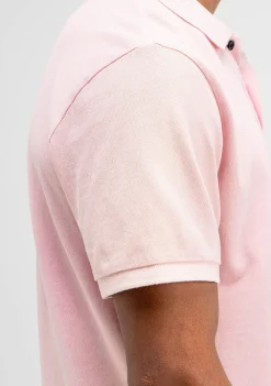 Polo's><noscript><img width=