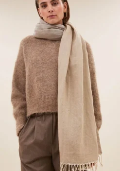 Accessoires><noscript><img width=