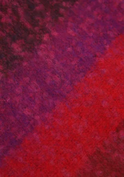 Accessoires>CASA DE SCIARPA SJAAL