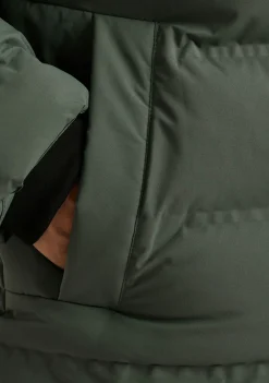 Jassen><noscript><img width=