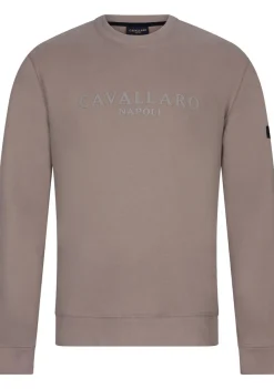 Truien>CAVALLARO SWEATER Bruin