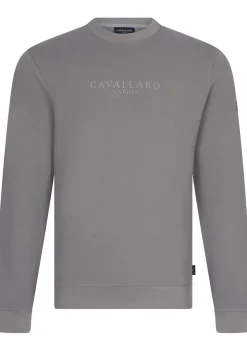 Truien>CAVALLARO SWEATER Grijs