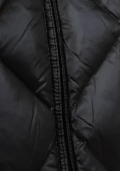 Jassen><noscript><img width=