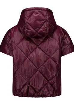 Jassen><noscript><img width=