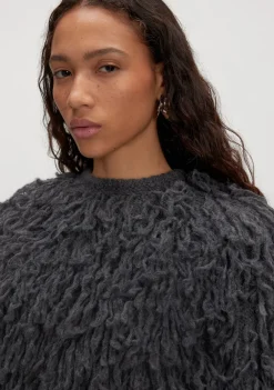 Truien><noscript><img width=