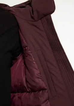 Jassen><noscript><img width=