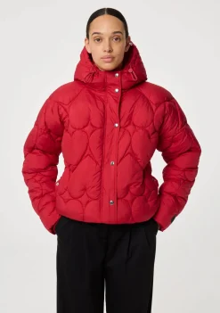 Jassen><noscript><img width=