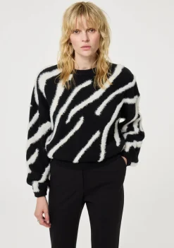 Truien><noscript><img width=