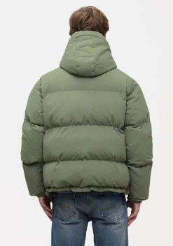 Jassen><noscript><img width=