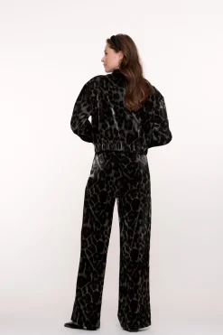 Pakken & Co-Ords|Blazers & Jasjes><noscript><img width=