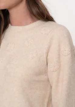 Truien><noscript><img width=