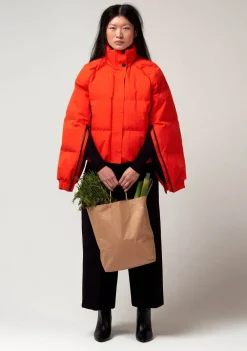 Jassen><noscript><img width=