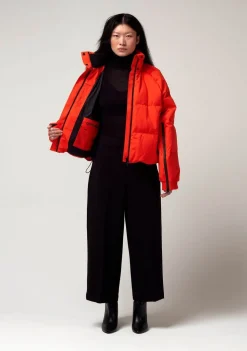 Jassen><noscript><img width=