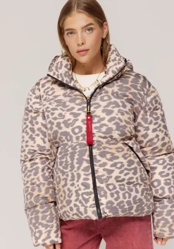 Winterjassen|Jassen><noscript><img width=