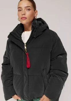 Jassen><noscript><img width=