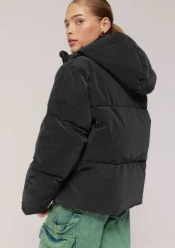 Jassen><noscript><img width=