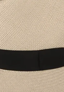 Accessoires><noscript><img width=