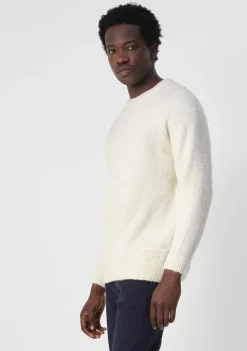 Truien><noscript><img width=