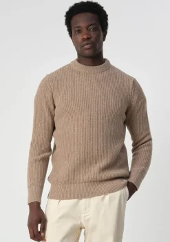 Truien><noscript><img width=