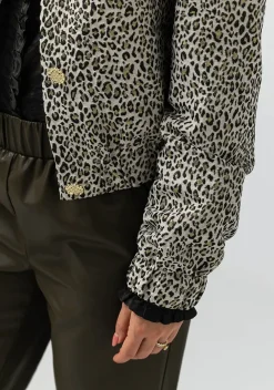 Blazers & Jasjes><noscript><img width=