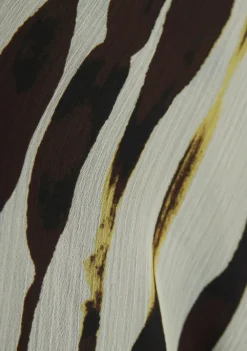 Rokken><noscript><img width=