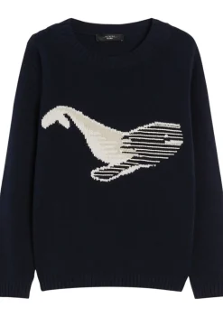 Truien>MAX MARA TRUI Blauw