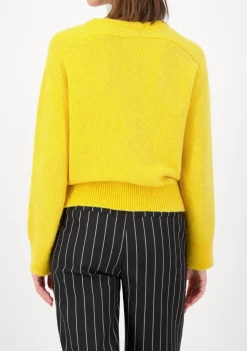 Truien><noscript><img width=