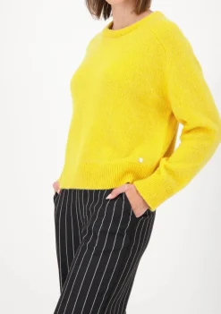 Truien><noscript><img width=