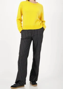 Truien><noscript><img width=