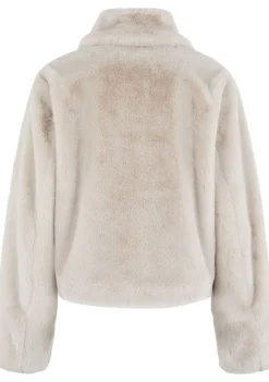 Jassen><noscript><img width=