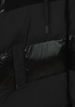 Jassen><noscript><img width=