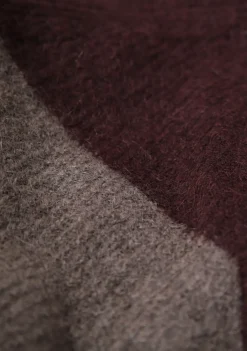 Truien><noscript><img width=