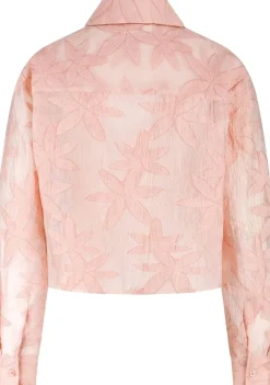 Blouses><noscript><img width=