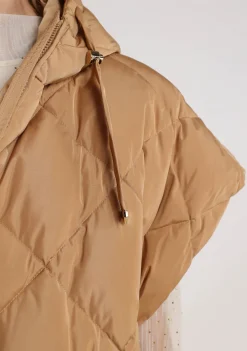 Jassen><noscript><img width=