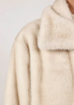 Jassen><noscript><img width=