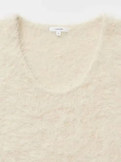 Truien><noscript><img width=