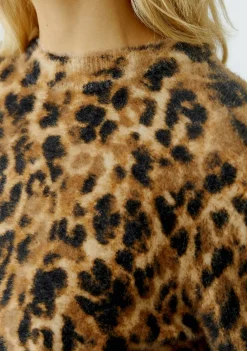 Truien><noscript><img width=