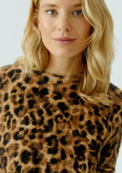 Truien><noscript><img width=