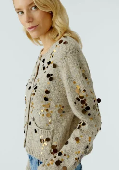 Vesten><noscript><img width=