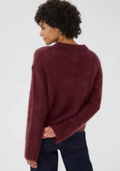 Truien><noscript><img width=